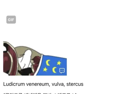 라틴어가 개간지긴 하구나