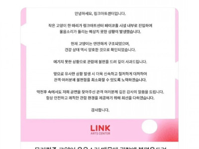 사과문이 논란이 된 이유.jpg