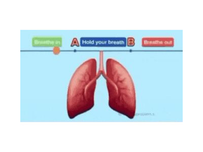 간단한 폐 건강 테스트