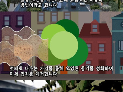 도시에 나무를 더 많이 심어야 하는 이유.jpg