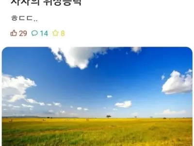 사자의 놀라운 위장능력 ㄷㄷ