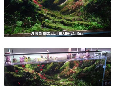 20살에 국제 어항꾸미기 대회 1위한 사람