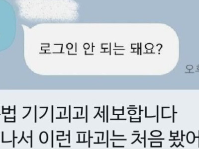 기괴하다 헷갈림 순간