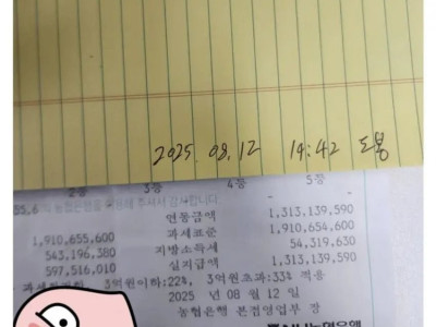 로또 달마다 백만원어치 산 사람의 최후