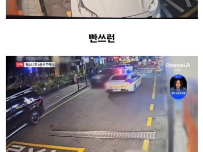 음주사고내고 도주했다가 추락사.jpg