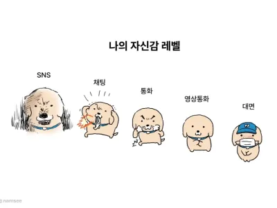 매체별 자신감 레벨