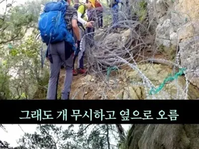 경고문 시체 사진을 노모자이크로 넣은 이유