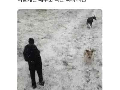대부분은 속는 다는 착시 사진