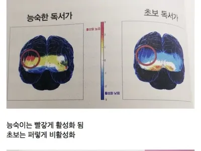 책 읽을때 머리가 잘 안돌아가는 느낌이 드는 이유