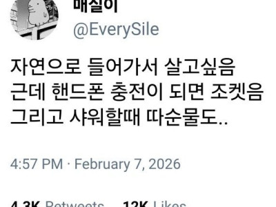 자연으로 들어가서 살고싶음.jpg