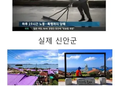 모두 오해하는 인터넷에서 말하는 신안과 실제 신안