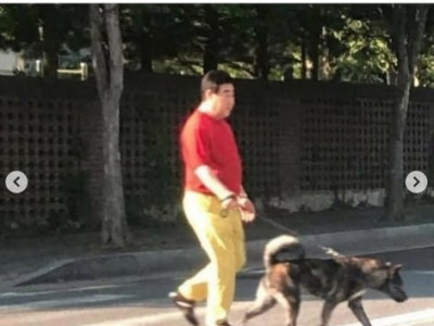 흰둥이도 많이컸네..