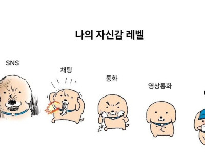 "나"의 자신감 레벨