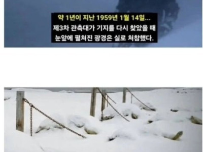 남극에 버려진 탐사견들