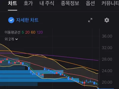 오늘 새벽 폭락한 쿠팡 주가 근황