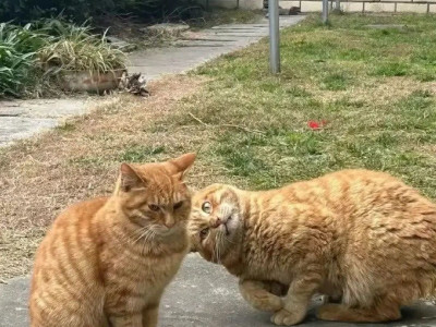 짜증난 사람 긁어서 결국 한대 쳐맞는 사람