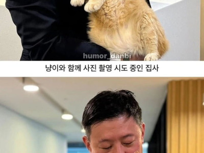 의약품 개발로 기자들 불러서 고양이 자랑한 제약사 대표
