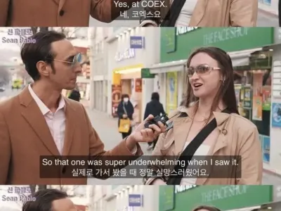 한국 유명 관광지는 볼 게 없다고 비판하는 외국인.jpg