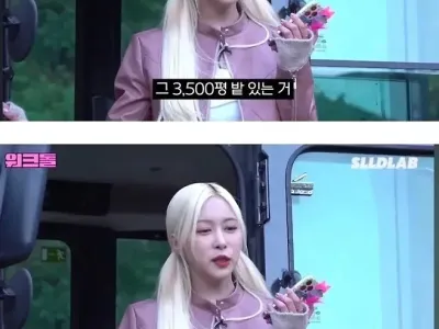 할아버지 감귤밭 3500평 물려 받을 수 있다는 아이돌