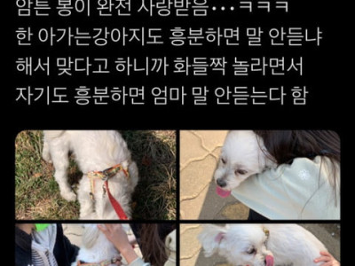 초딩에게 번호 따인 썰