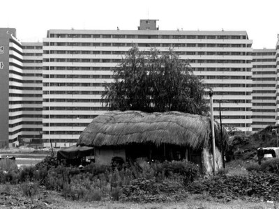 은마아파트가 얼마나 오래되었는지 보여주는 사진.jpg