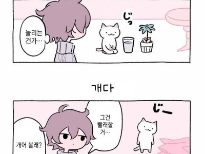 고양이 만화