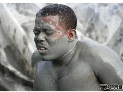 박스 젤 밑에 귤