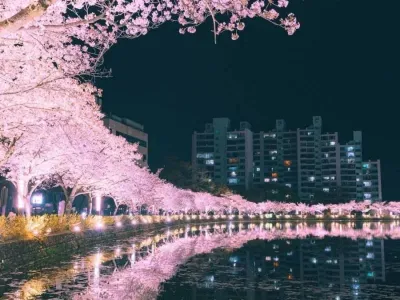 한국이라는 사진