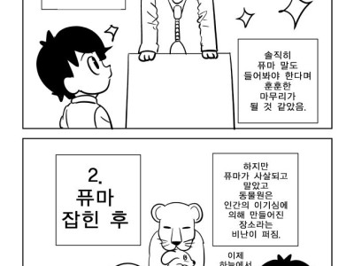 퓨마 잡히기 전 후 만화