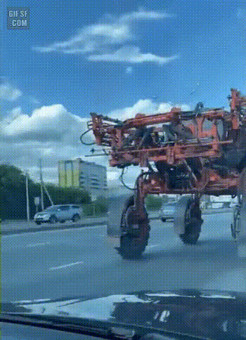 분명 하면 안 되는 걸 알지만 참기 어려운 것.gif