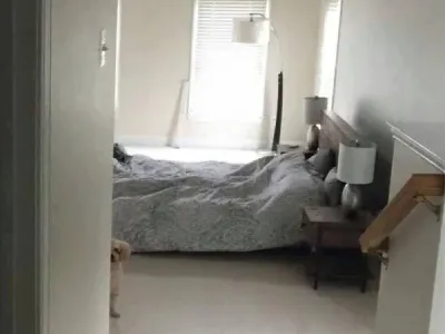 결혼하면서 신랑이 데려온 강아지가 낯을 가려요