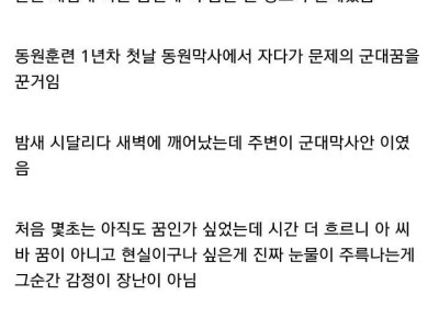 어느 디시인의 평생 가장 끔찍했던 군대꿈 썰.jpg