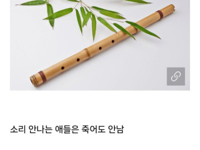 어린 시절 호불호 악기