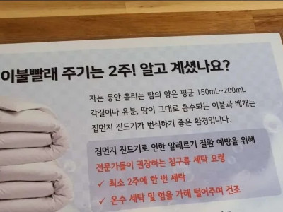 전문가가 권장하는 이불빨래 주기