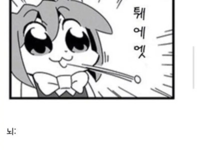 쥐 덕분에 발견된 신체 부위