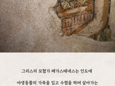 중세의 기괴동물을 알아보자