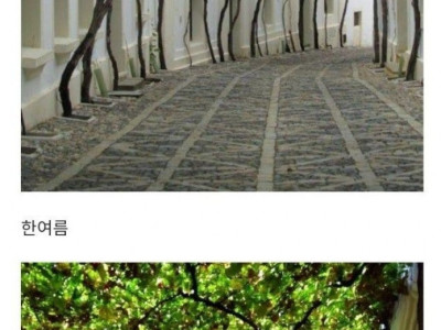 스페인 조경 성공 사례 - 헤레스 스트리트