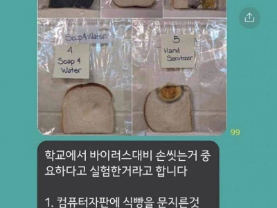 손 씻는 게 ㅈㄴ 중요한 이유