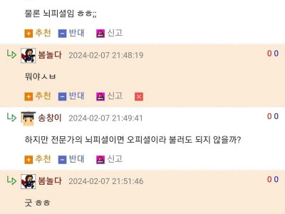 전문가의 댓글 jpg