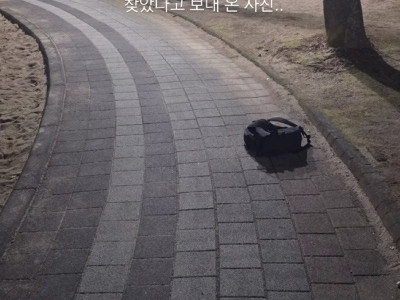 즐거운 아들 키우기