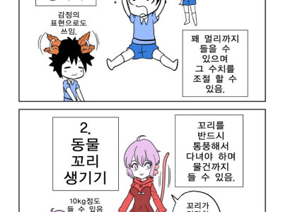 동물의 귀 생기기 vs 꼬리 생기기 만화