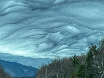 레딧서 화제인 사진 한장..