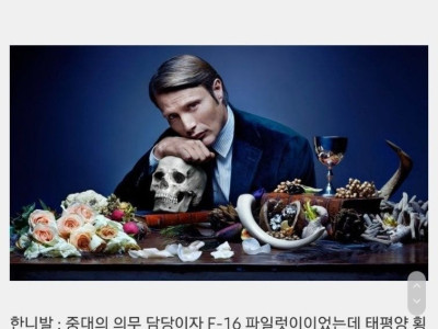 싱글벙글 실제 미군 파일럿 콜사인