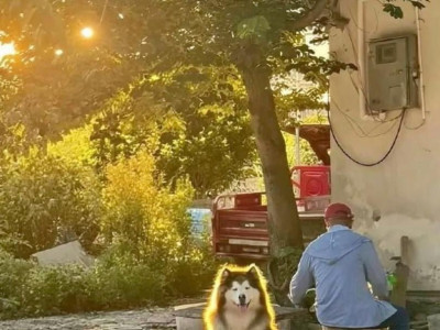 레딧서 핫한 사진 한장.jpg