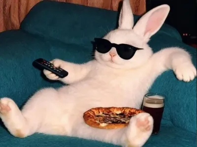 질의 응답 받음