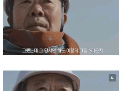 세월호 제주항공 참사를 모두 겪은 사람