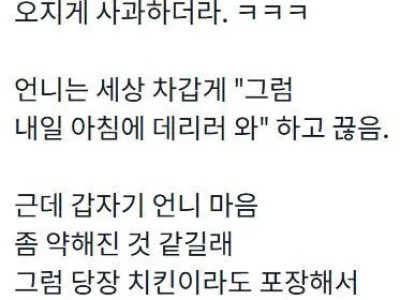 언니랑 형부를 화해시켜주려한썰