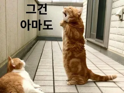 경제1도모르는데 멍청한질문해도됨?