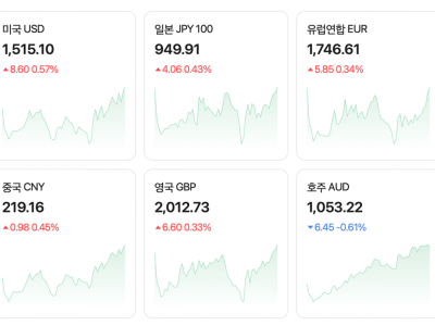 심각한 현재 환율