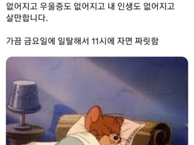 직장인 여러분 밤 10시에 한 번 자보세요 jpg